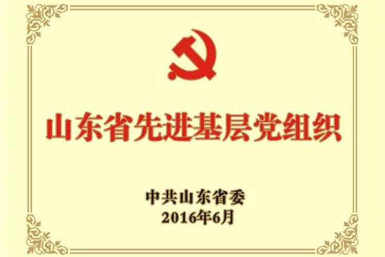 山东省先进基层党组织